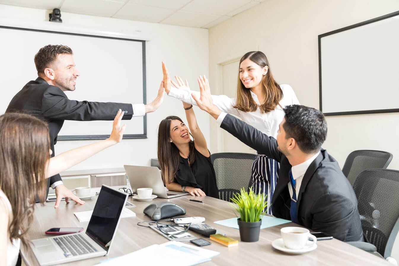 Best WordPress Company India